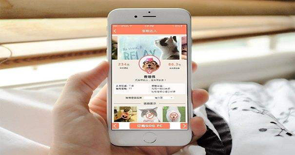 寵物行業APP存在的不足之處與發展策略，你了解多少呢？